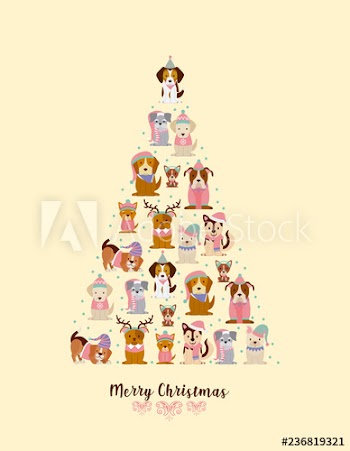 merry christmas card