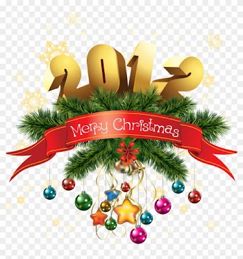 Merry Christmas Everyone Hope You Have An Amazing Wonderful - 5'x7'area Rug