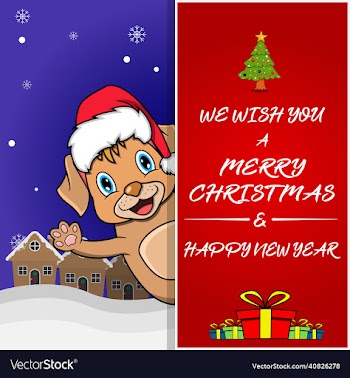 merry christmas greeting card flyer invitation