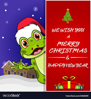 merry christmas greeting card flyer invitation