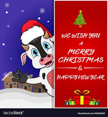 merry christmas greeting card flyer invitation