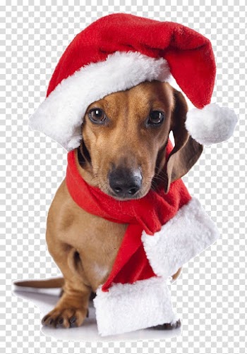 Merry Christmas transparent background PNG clipart