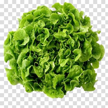 Mesclun Leaf vegetable Food Fruit, vegetable transparent background PNG clipart
