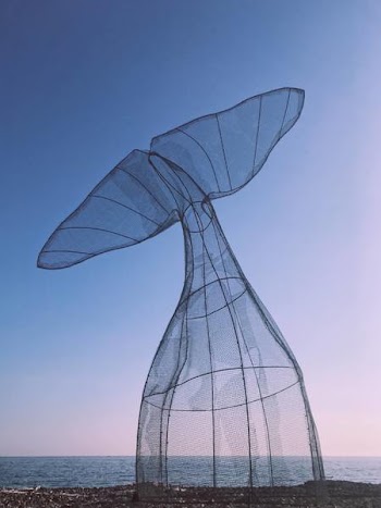 Mesh Fishtail Net Near Body Of Water