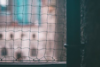 mesh net door close