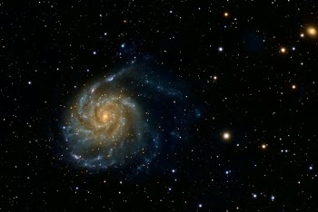 Messier 101 - the Pinwheel Galaxy. A grand-design spiral galaxy that's estimated to be approximately 21 million light years away and 170,000 light years across, compared to the Milky Way's 250,000 light year diameter, it's estimated to be home to around one trillion stars - more than double the Milky Way. Its asymmetrical shape is due to gravitational forces from surrounding smaller galaxies, one of which is visible in the upper right of the frame, a smaller elliptical galaxy, NGC 5204.

This shot is just about ten hours (118 x 300s) of total exposure taken with a ZWO ASI294MC-Pro through an Explore Scientific ED127CF at 952mm focal length.