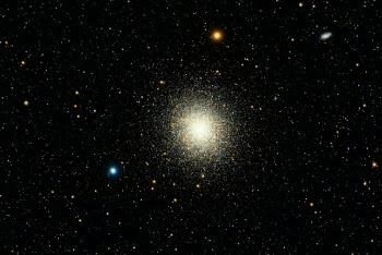 Messier 13 – the Great Globular Cluster in Hercules

Located in the armpit of the constellation Hercules, M13 is one of the best known globular clusters in the northern hemisphere. Discovered by Edmond Halley (for whom the comet is named) in 1714 and cataloged by Charles Messier in 1764, it’s a cluster of several hundred thousand closely grouped stars. The stars are about 100 times more densely packed than in our area of the galaxy. It’s estimated to be approximately 22.2 thousand light years away, with a diameter of 145 light years. The galaxy in the upper right is NGC 6207, which is about 30 million light years away and 34,000 light years across.

Globular clusters reside in the halo of a galaxy as opposed to the disk and are bound together by gravitational forces. There are about 150 known globular clusters in the Milky Way, with an estimated 20 more hidden by dust lanes. They are generally comprised of very old stars, and M13 is estimated to be 11.65 billion years old. The process in which globular clusters are created is largely unknown, but it’s hypothesized that they originate from areas of starburst activity and interactions between galaxies. There is no known active star formation in any of theses clusters, but due to the proximity of the stars collisions occur, and new stars are created. These new stars are called “blue stragglers”, some of which may be seen in the photo. The proximity of the stars (on average about one light year apart) also creates many binary star systems (think Tatooine), but due to the age and makeup of the stars there are very few with planets.

This is about 3:15 hours of exposure.