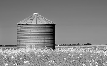 Metal Building Grayscale Photo