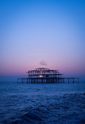 Metal Construction on Sea at Dawn