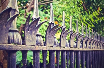          Metal Fence Free Photo     