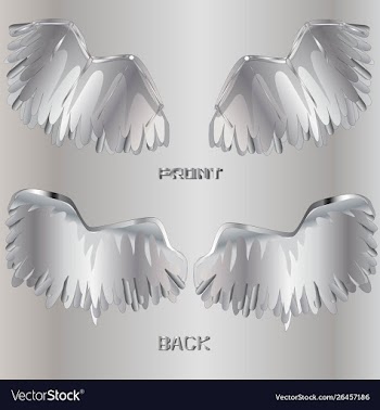 Metal wings set vector image