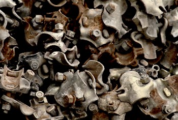metalCN_1324.jpg
