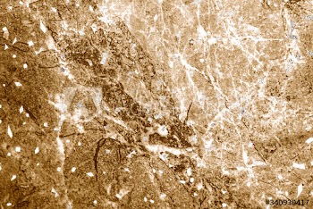 Metallic copper textured background