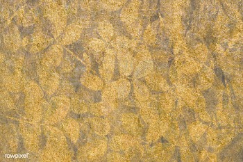 Metallic gold leaves patterned background | Free  illustration - 2352714