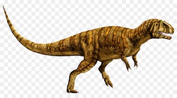 Metriacanthosaurus Tyrannosaurus Universal Pictures Suchomimus Dimorphodon - dinosaur 