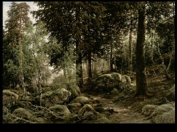 Metsänsisusta, 1882, Berndt Lindholm | Free Photo - rawpixel