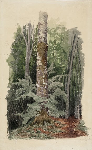 Metsänsisustaa, keskellä lehtipuun runko, 1856, | Free Photo - rawpixel