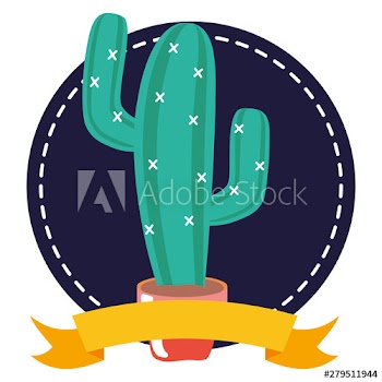 mexican cactus in pot in frame
