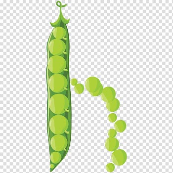 Mexican cuisine Veggie burger Food Vegetable Letter, Vegetables English letters h transparent background PNG clipart