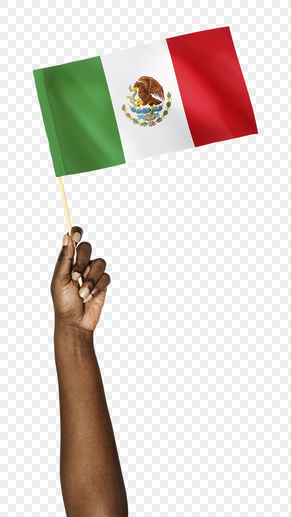 Mexico's flag png in black | Free PNG - rawpixel