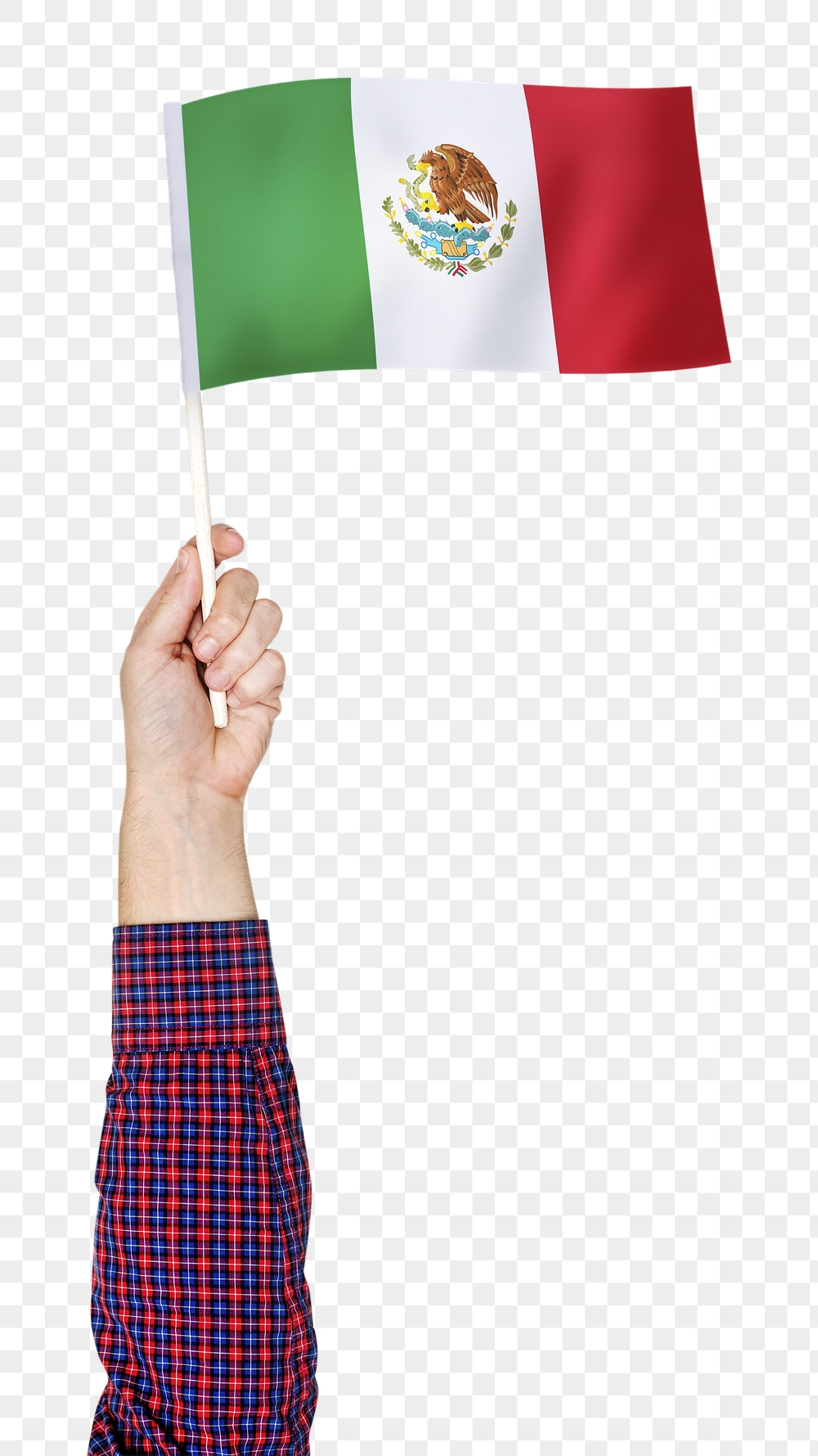 Mexico's flag png in hand | Free PNG - rawpixel
