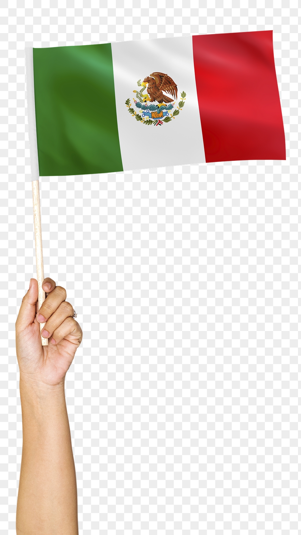 Mexico's flag png in hand | Free PNG - rawpixel