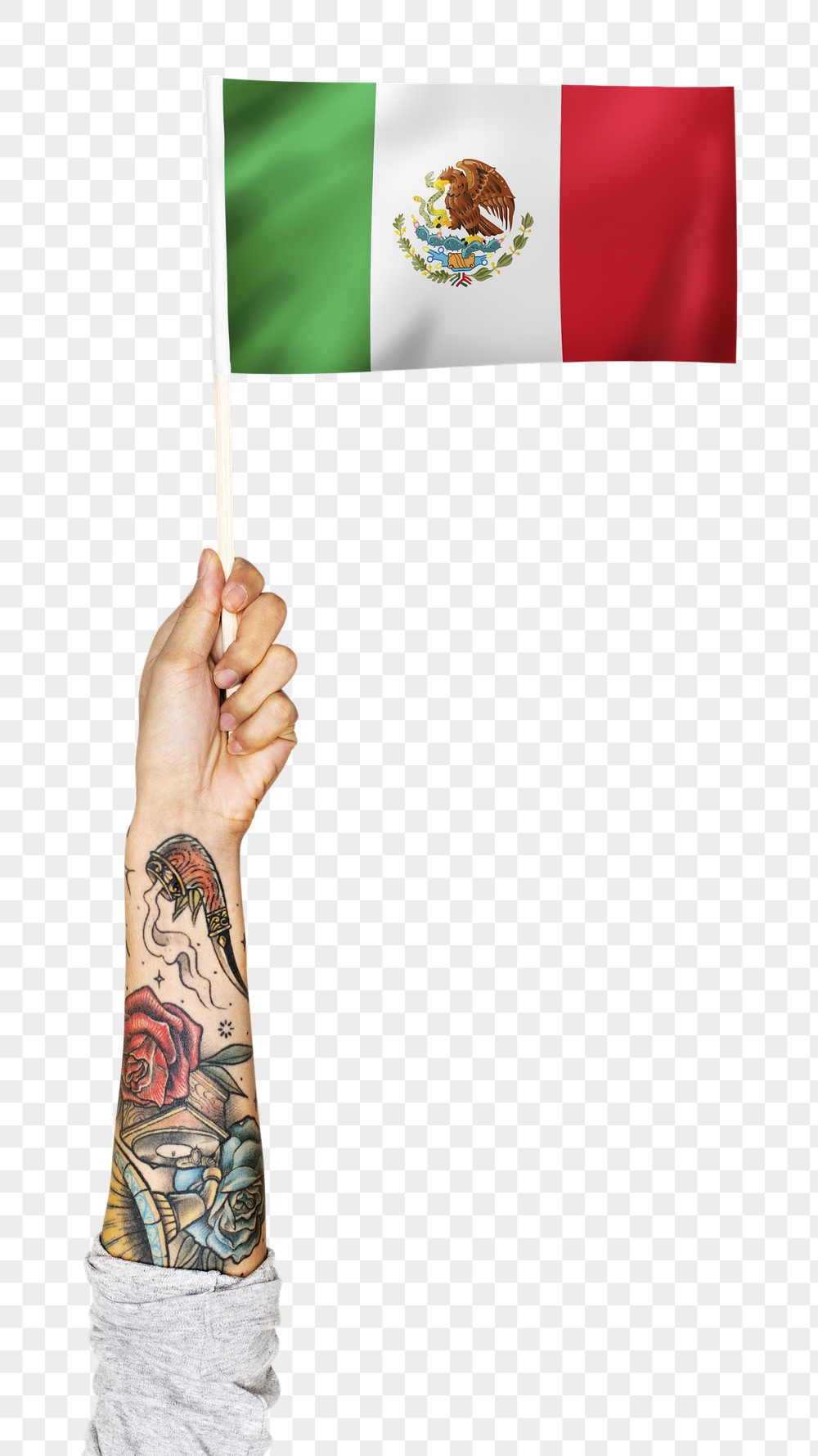 Mexico's flag png in tattooed | Free PNG - rawpixel