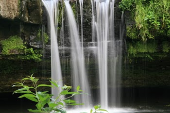MF_0015.JPG