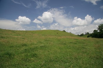 MF_3467.JPG