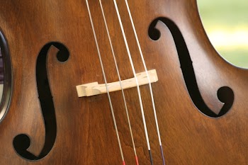 MF_4715.JPG