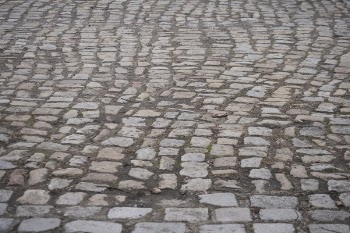 _MG_5020.jpg