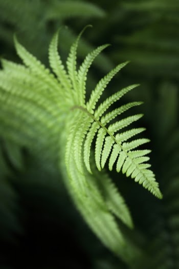_MG_6856.JPG