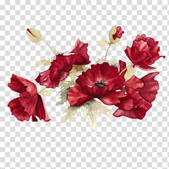 Mi Nyu Go Watercolor painting Art, others transparent background PNG clipart
