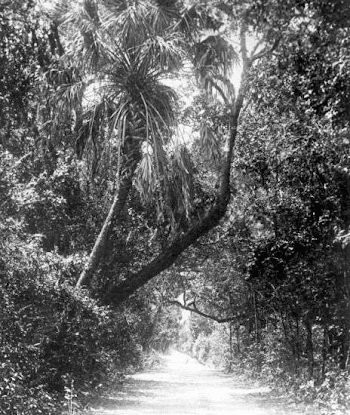 Miami-Dade – Dragonfly Expeditions