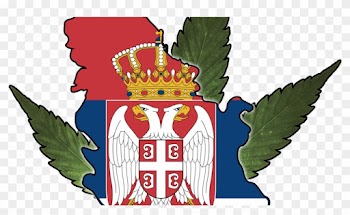 Michigan Medical Marijuana Report - Flags Like Slovakia