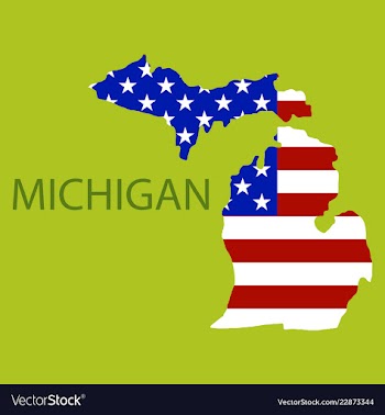 Michigan state of america with map flag print on vector image