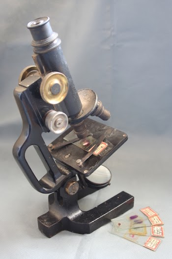 micro06.JPG