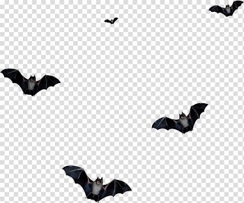 Microbat Portable Network Graphics Adobe shop GIF, fledermaus transparent background PNG clipart