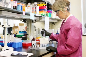 Microbiologist preparing for antibody testing. | Free Photo - rawpixel