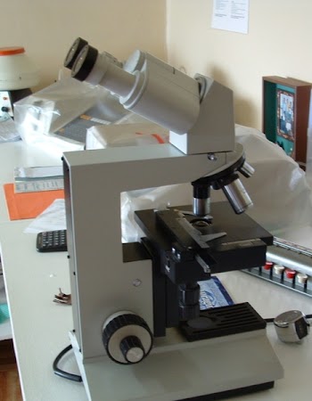 microscope.jpg