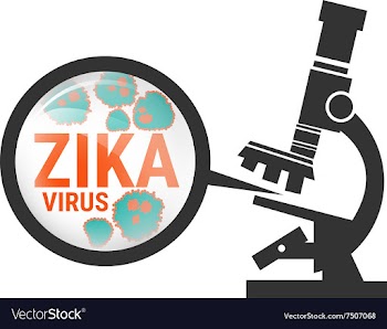  					Microscope with Zika virus vector image														