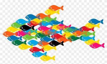Microsoft Powerpoint Template Microsoft Word Portable - Fish