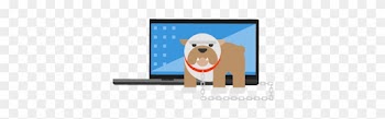 Microsoft Support, Privacy Settings, Accounting, Management, - Microsoft Support, Privacy Settings, Accounting, Management,