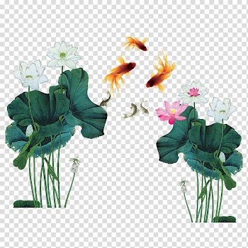 Mid-Autumn Festival Nelumbo nucifera, Lotus fish transparent background PNG clipart