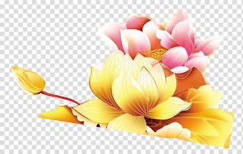 Mid autumn lotus transparent background PNG clipart