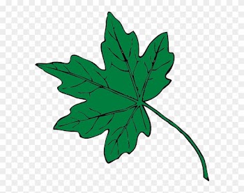 Mid Green Maple Leaf Clip Art At Clker - Fall Leaves Clip Art