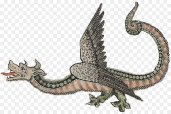Middle Ages Dragon Medieval fantasy Medieval university Chivalry - dragon 