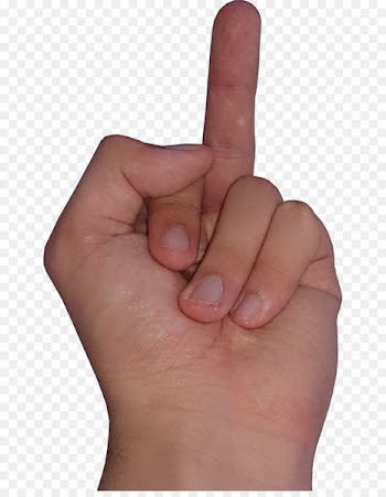 Middle finger Hand Thumb Arm - fingers 