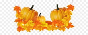 Midnight Rodeo Amarillo Thanksgiving Day Thanksgiving dinner Clip art - Transparent Thanksgiving Pumpkin Decor Clipart 
