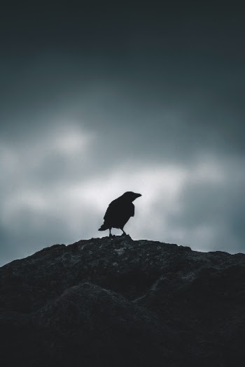 Miedo irracional a volar.